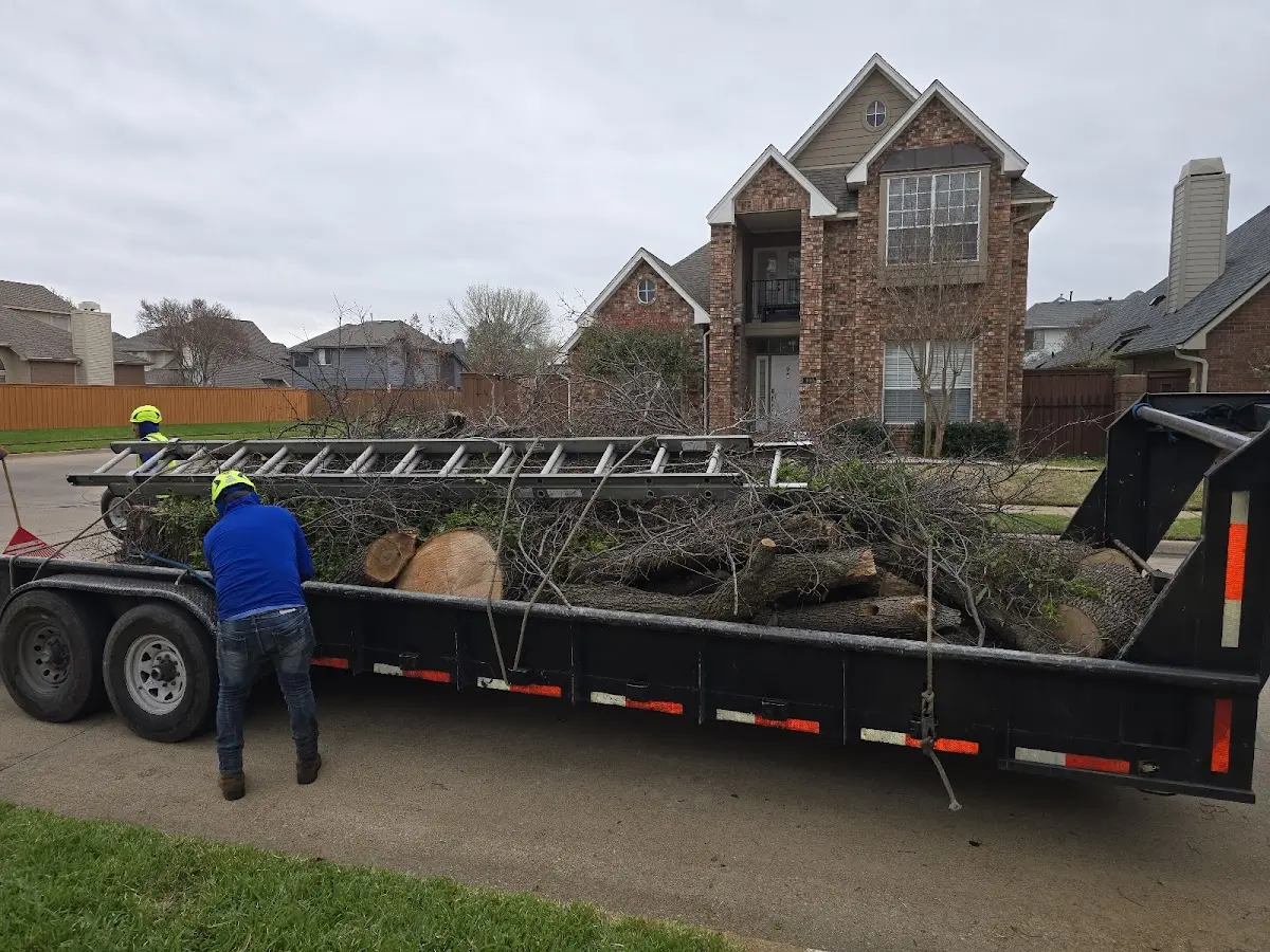 Expert Tree Fertilization with proper safety equipment in Cummington